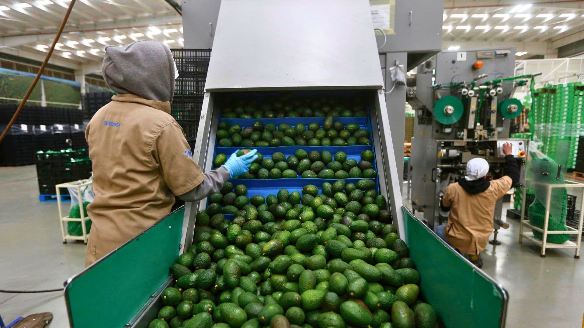 Mexico’s Economic Activity Rises 2.3% in April, Driven by Gains Across All Sectors