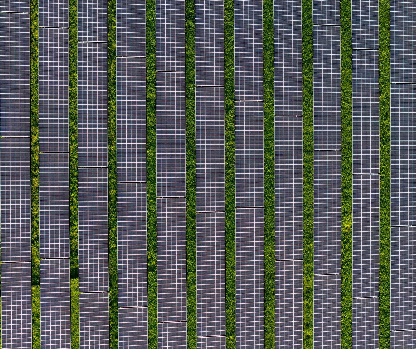 Aerial view of a solar farm with green grass rows.